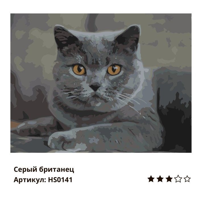 Кошка вислоухая серая рисунок