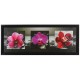 Картина "Тёмно-розовые орхидеи"